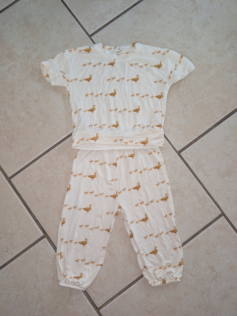 Kate Quinn Duckling Set